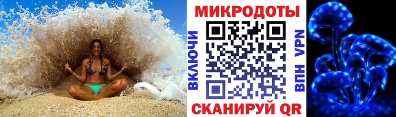 blacksprut tor  Нестеров  Псилоцибиновые грибы мицелий 
